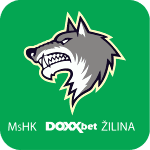 Жилина logo