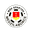 Home team logo