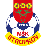 Мск Тесла Стропков