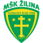 teamLogo