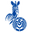Home team logo