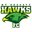 Home team logo