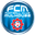 Home team logo