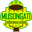 Home team logo