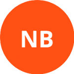 НАМ Блэйзерс logo