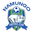 Home team logo