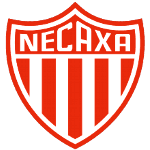 Некса logo