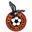 Home team logo