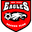 Home team logo