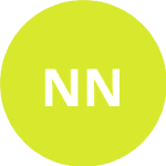 Ниднер Н. logo