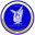 Home team logo