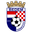 Home team logo