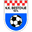 Home team logo