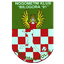НК Билогора 91 logo