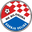 Home team logo