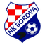 НК Борова logo