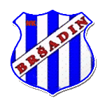NK Bršadin logo