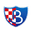 Home team logo
