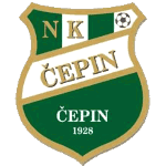 Н. К. Чепин logo