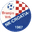 Home team logo