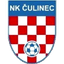НК Чулинец logo