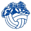 НК Десинич logo
