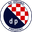 Home team logo
