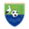 Home team logo