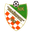 Home team logo