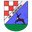 Home team logo