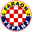 Home team logo