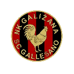 НК Галижана logo