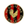 Home team logo
