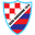Home team logo