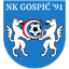 НК Госпич 91 logo