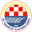 Home team logo