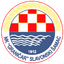 НК Граничар Славонски Шамац logo