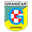 Home team logo