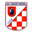 Home team logo