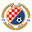 Home team logo