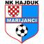 teamLogo