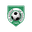 Home team logo