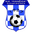 Home team logo