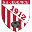 ФК Жесенице logo
