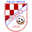 Home team logo