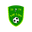Home team logo