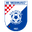 Home team logo
