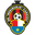 Home team logo