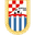 Home team logo