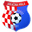 Home team logo